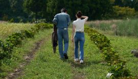 Лучше поздно, чем одиноко трейлер