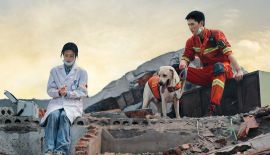 Мой сигнальный огонь трейлер