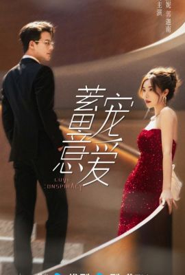 Любовь по плану