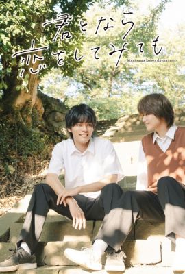 Даже если я попытаюсь влюбиться в тебя постер