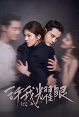 Амбиции любви постер